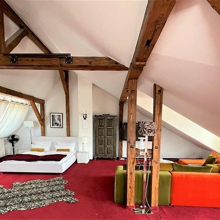 City Penthouse mit Dachterrasse Freiburg im Breisgau Exterior foto