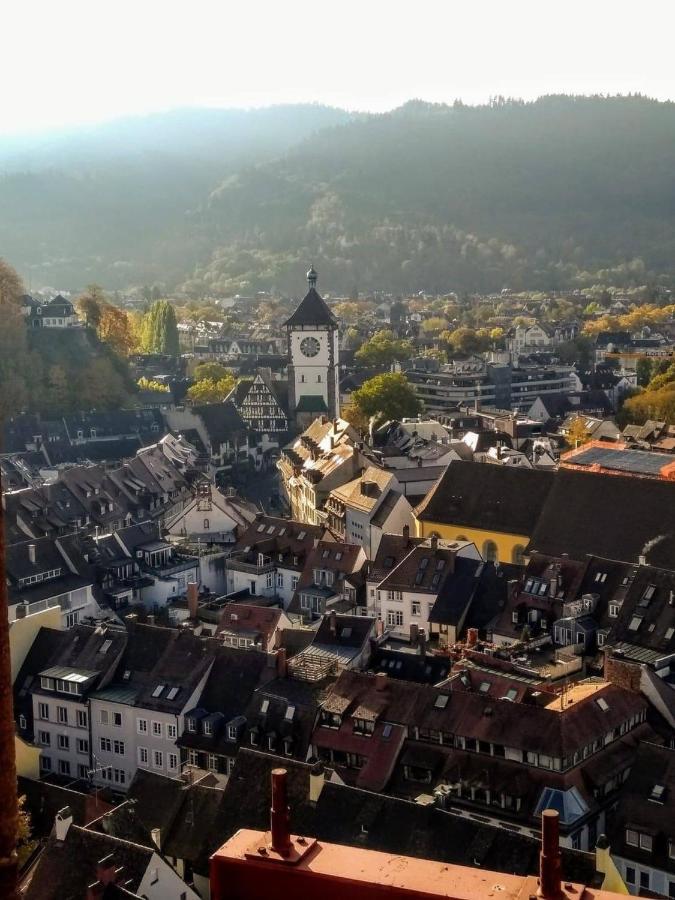 City Penthouse mit Dachterrasse Freiburg im Breisgau Exterior foto