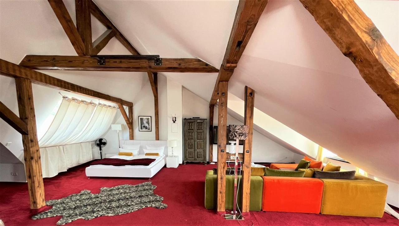 City Penthouse mit Dachterrasse Freiburg im Breisgau Exterior foto